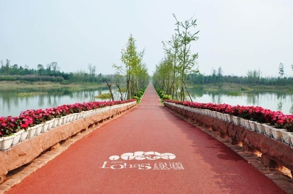 白鹭溪湿地2.png