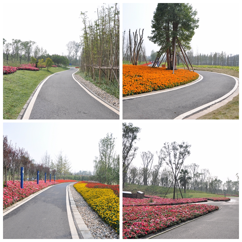 成都市三圣乡白鹭溪生态湿地沥青路面工程.jpg