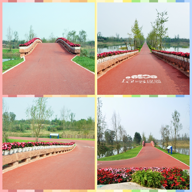 成都市三圣乡白鹭溪生态湿地沥青路面工程2.jpg